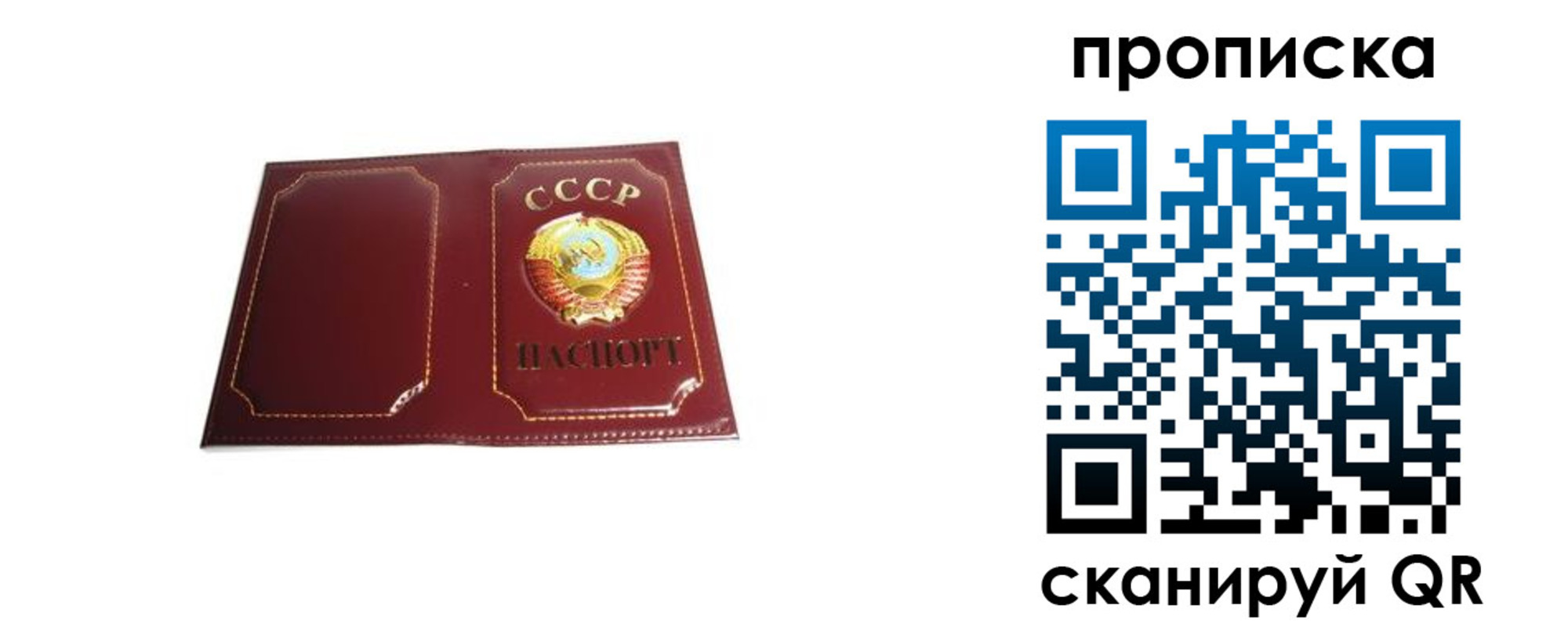 прописка гарантия в Видном